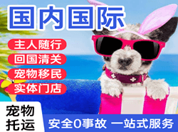 虹桥空运地址国际宠物托运 【国